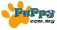 Puppycom Dog Training School Centre Trainer Obedience CGC ...