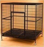 Steel Dog Cage D337 5ft x 4ft x 5ft