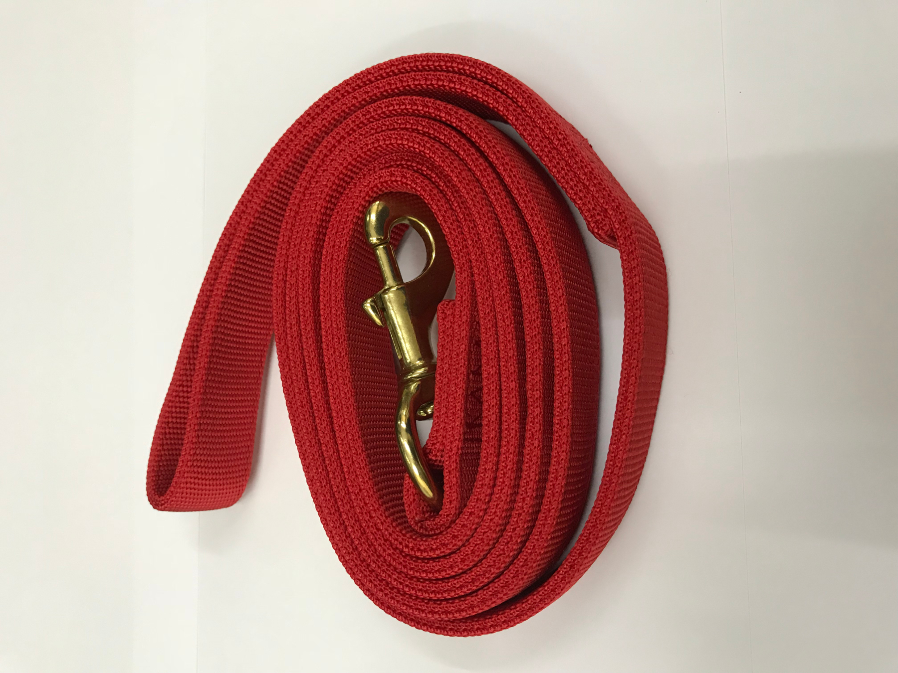 Dog Training Nylon Leash 25mm x 62cm 2-Layers (Flat) Large Breed Red