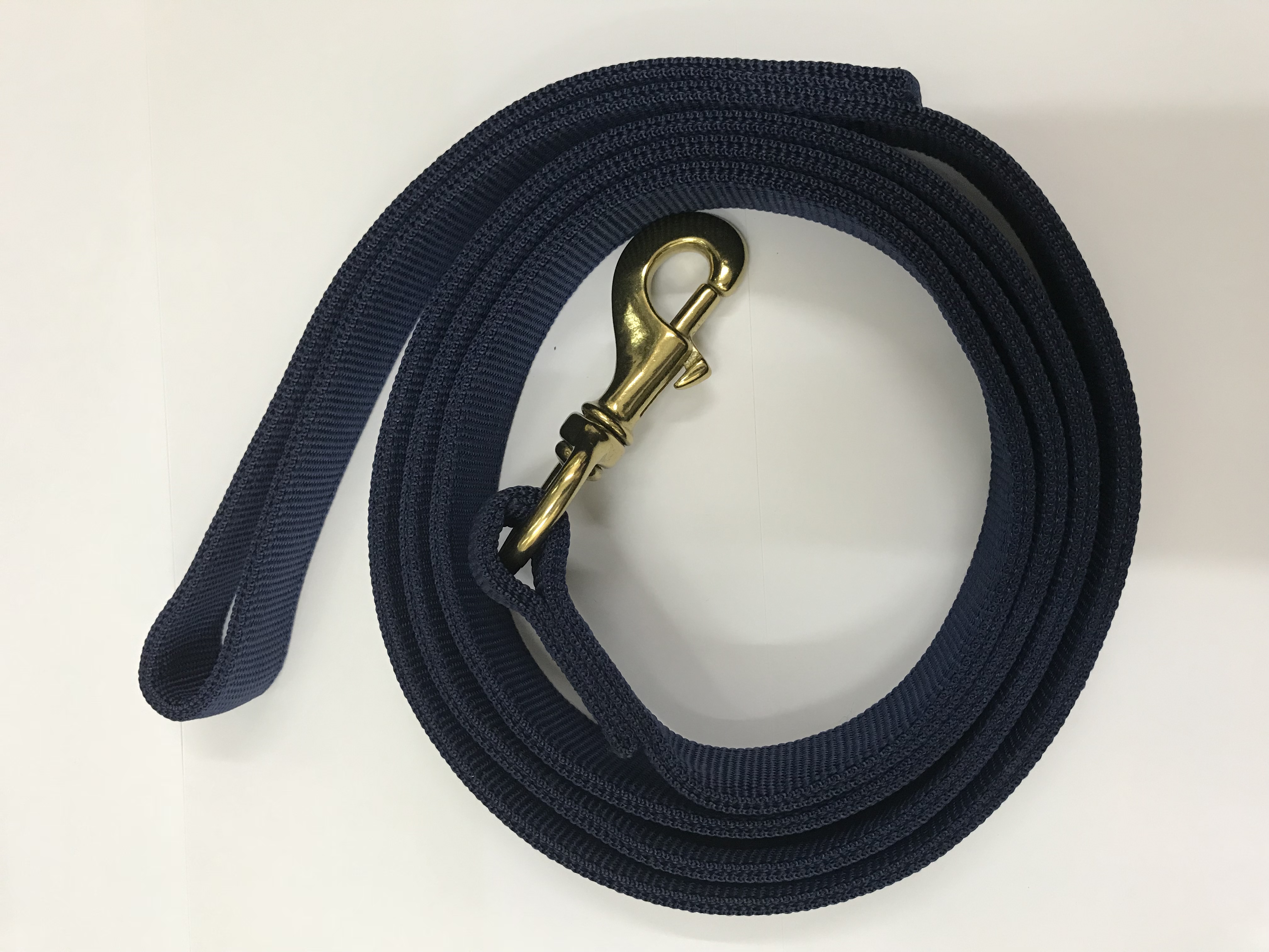 Dog Training Nylon Leash 25mm x 62cm 2-Layers (Flat) Large Breed Blue